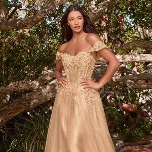 NEW LONG A-LINE OFF THE SHOULDER SLEEVELESS TULLE DRESS WITH ZIPPER BACK CD0198